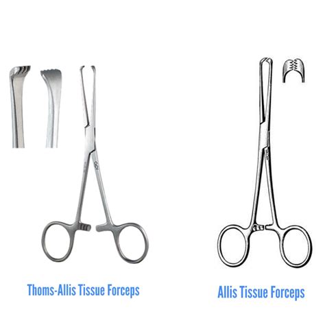 Allis Forceps Allis Tissue Forceps