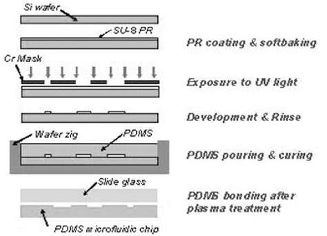 Microfabrication of the microfluidic device. | Download Scientific Diagram