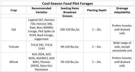 Wildlife Food Plots: A Guide for Success | Panhandle Agriculture