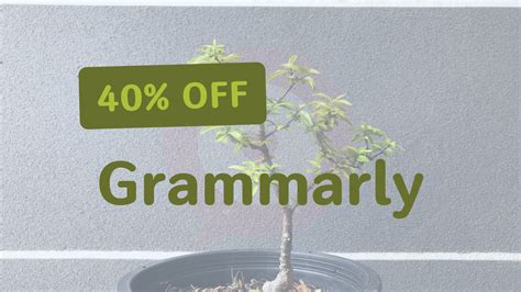 取得 Grammarly 六折優惠的秘密方法 Get 40% off discount of Grammarly | 自研恣語 Trying Lingo