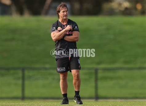 AFL 2023 Training - Western Bulldogs 040523 - A-30151612 - AFL Photos