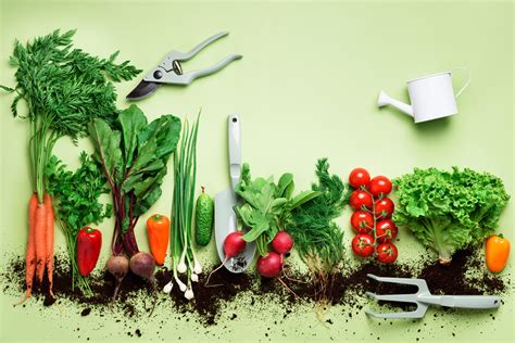 How to Grow Your Own Food - Planting Your Future