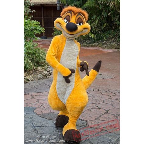 Timon Mascot Costume for Adult