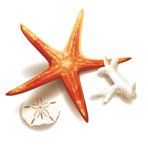 Download Free And Coral Starfish Illustration Stock Free Clipart HD ICON favicon | FreePNGImg