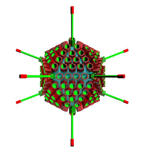 Adenovirus