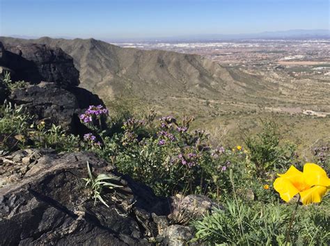 Not Quite Mt. Everest (In Any Way Whatsoever): A Hike Across South Mountain in Phoenix — Maps ...