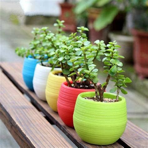 Acheter Coloré Mini Fleur Pots Plantation Pot Jardinage Pots En Plastique Plante Pot De Fleurs ...