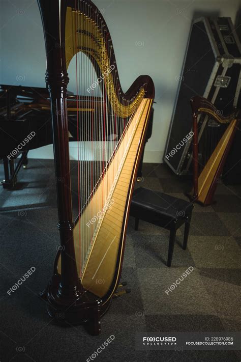 Classical harp in music school — tune, chord - Stock Photo | #228976986