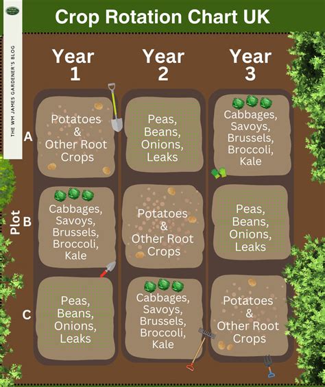 Crop Rotation Charts & Examples for Beginner Green Thumbs | WM James & Co.