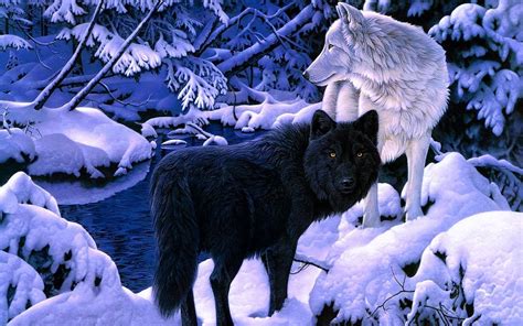 Wolf Screensaver Wallpapers - Wolf-Wallpapers.pro