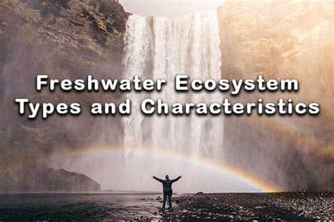 Freshwater Ecosystem: Types, Characteristics & Animals | Earth Reminder ...