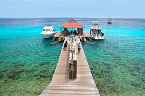 Divi Flamingo Resort Reviews & Specials - Bluewater Dive Travel