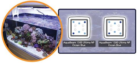 Aquarium Lighting Guide | AquaRay Lighting | Aquarium lighting, Led aquarium lighting, Lighting ...