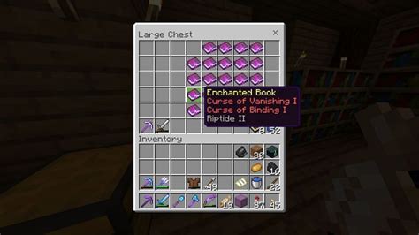 What does Curse of Vanishing do in Minecraft? How to Get & Remove it?