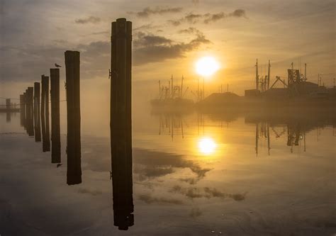 Foggy Winter Sunset