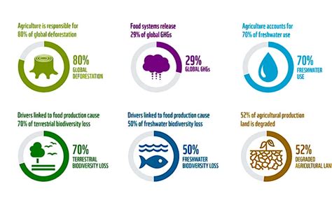 Biodiversity Loss Causes