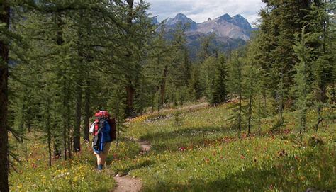 Detailed Banff, Alberta Hikes | Banff National Park