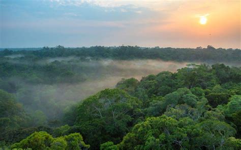 Clima equatorial é predominante ao longo da linha do equador