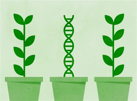 Nature versus Nurture - Character Lab