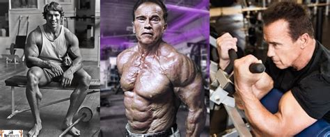 ArnoldSchwarzeneggerBiceps: Arnold Schwarzenegger Biceps Size