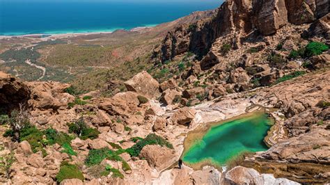 Yemen's Socotra archipelago awaits ecotourists | The Citizen