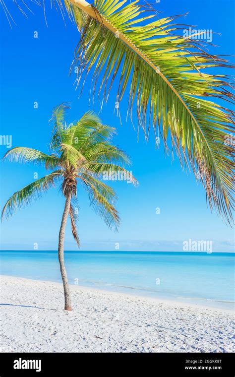 Smathers beach, Key West, Florida, USA Stock Photo - Alamy