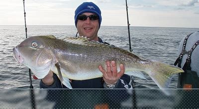 NJ Tuna Charter Fishing Boat Sailing out of Belmar New Jersey - Shark ...