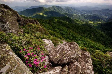 Geology and Wildlife of the Appalachian Mountains