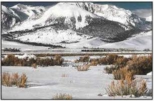 Cold Desert Plants - Crimson Sands Tourism