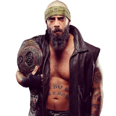 Jay Briscoe ROH World Champion by MaximilianoFer on DeviantArt