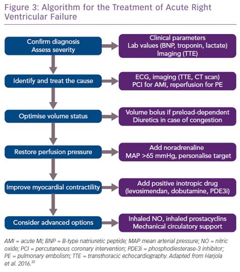 Algorithm for the Treatment of Acute Right Ventricular Failure ...