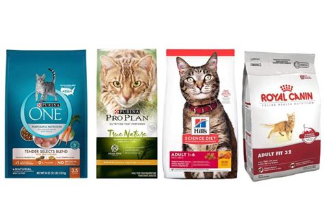 10 Best Dry Foods for Cats, According to Vets | Family Handyman