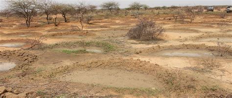 Media network for the Great Green Wall launched | UNCCD