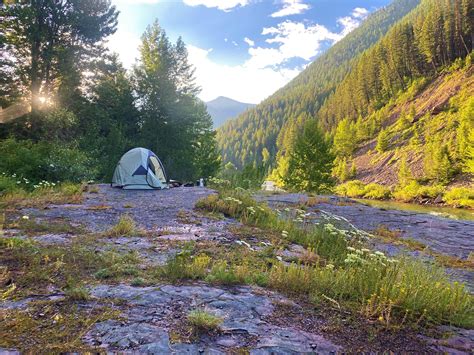 For Flathead National Forest Staff, a Busy Year in Review - Flathead Beacon