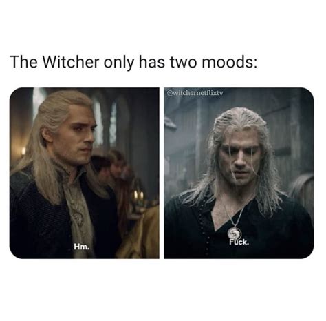 'Witcher' Memes That We Would Definitely Toss a Coin To (20 Pics) | The ...