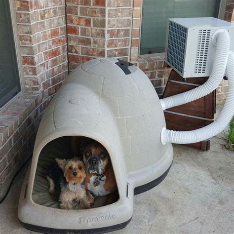 Pin by Lisa Marie Hicks on Love all DOGS | Dog house diy, Air ...