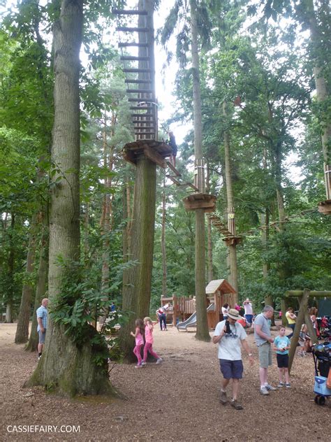 school summer holiday activity high lodge thetford forest segway adventure go ape review-8 | My ...