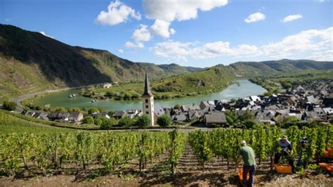 Mosel Valley: Hiking through the hillside vineyards of Germany's celebrated wine region