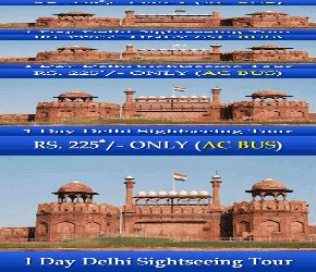 Delhi Sightseeing at best price in New Delhi | ID: 4064562962