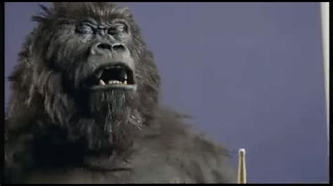 How Cadbury's "Gorilla" Ad Campaign got the love back - Boing Boing