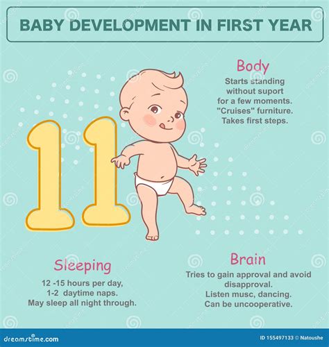 Little Newborn Baby of 11 Month. Development Infographics Stock Vector ...