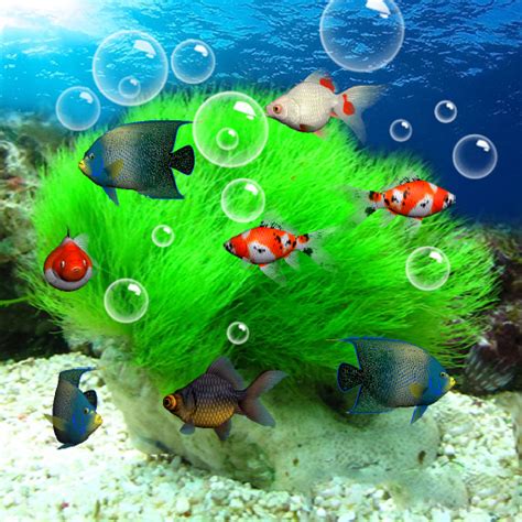 Aquarium - Apps on Google Play