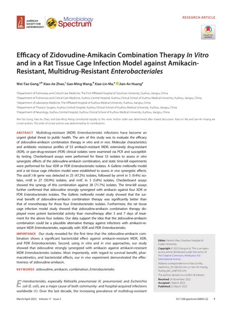 (PDF) Efficacy of Zidovudine-Amikacin Combination Therapy In Vitro and in a Rat Tissue Cage ...