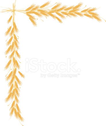 Wheat Graphic Border