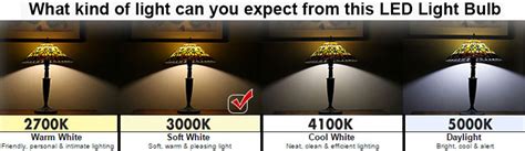 LED 7 Watt Dimmable (50W Replacement) MR16 Light B
