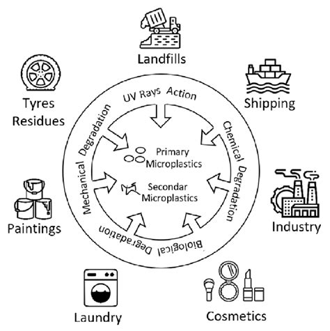 Microplastic sources and types. | Download Scientific Diagram