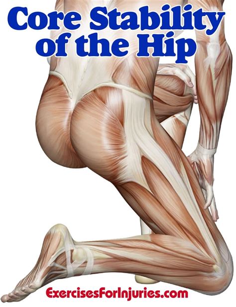 Core Stability of the Hip – Hip Injury Exercises - Exercises For Injuries