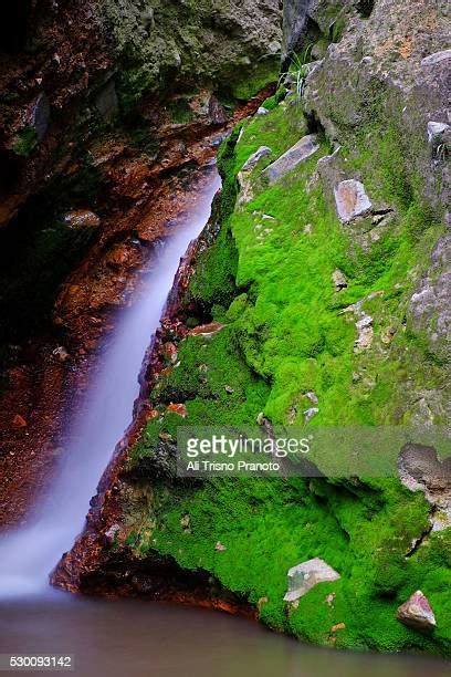 63 Papandayan Mountain Stock Photos, High-Res Pictures, and Images ...