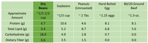 Bean Nutrition - A Legume a Day