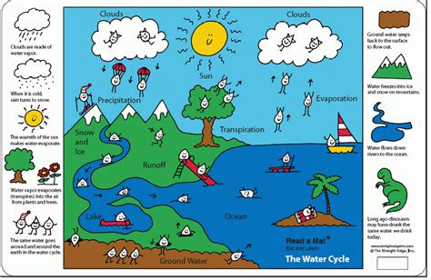 [DIAGRAM] Printable Water Cycle Diagram Quiz - MYDIAGRAM.ONLINE